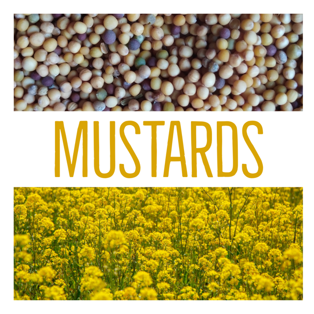 Mustards