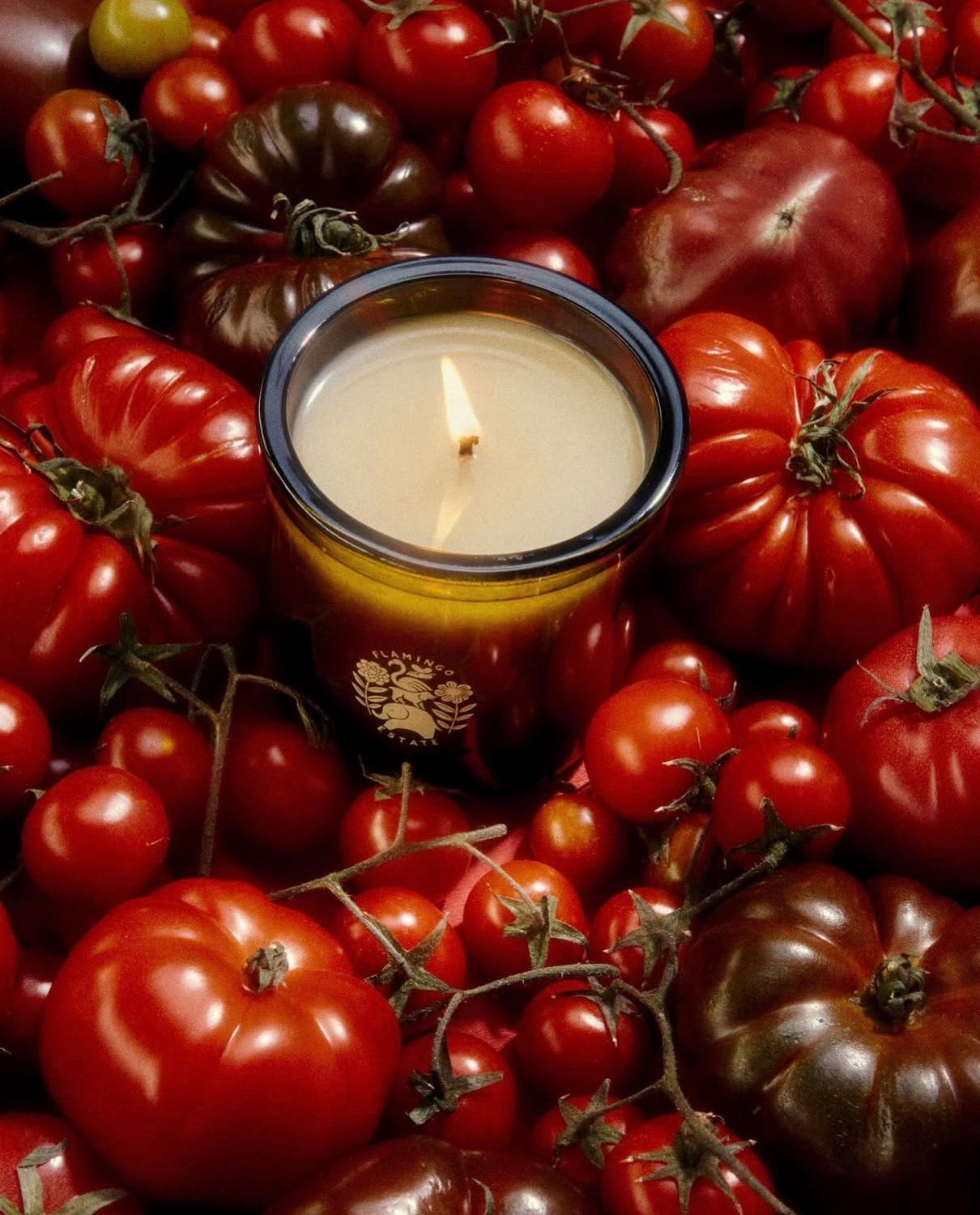 The Power of Scent: How Tomato Candles Elevate Mood and Well-Being