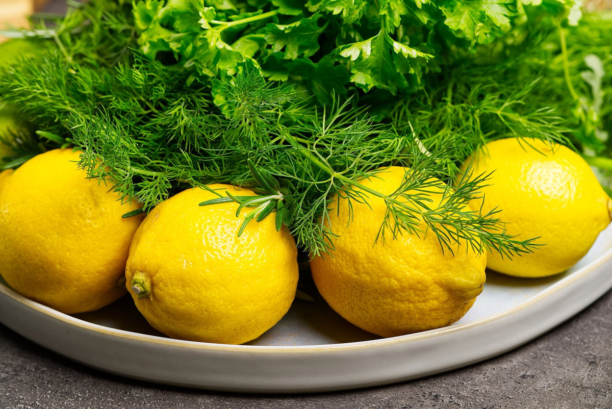 Fresh lemons with aromatic herbs on a white ceramic platter — Lemon Herb Aioli guide