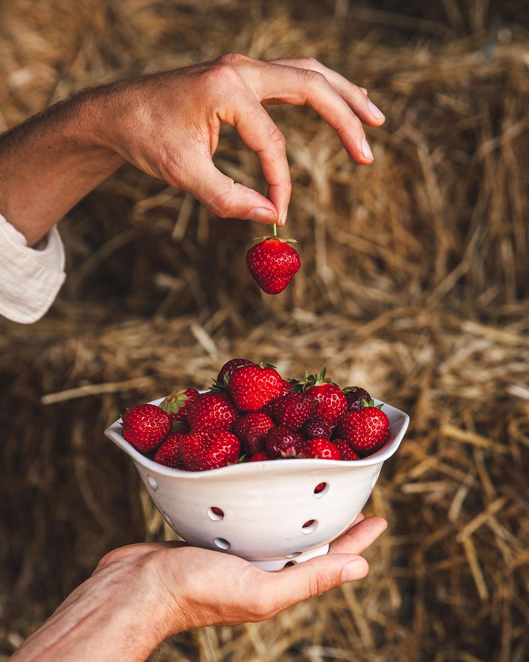 Farmhouse Pottery Windrow Berry Bowl filled with freshly picked strawberries and held in two hands; fruit not included.